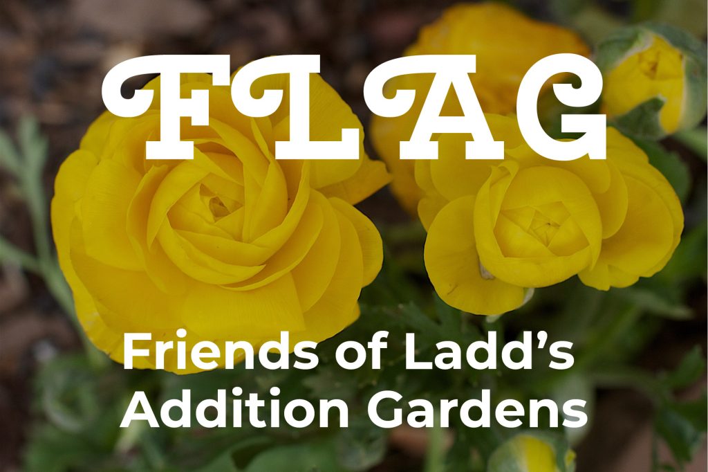 Friends of Ladd’s Addition Gardens